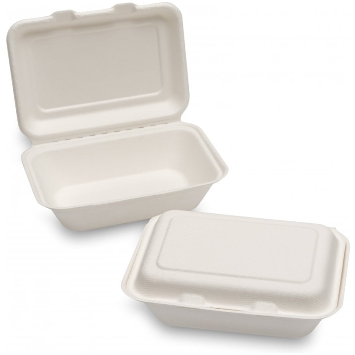 green planet bagasse lunch box 232x155x78mm 9x6 white box of 250 p60937 64958 image