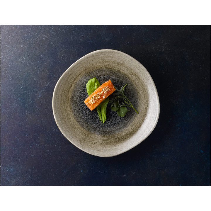 AQUEOUS SALMON 2