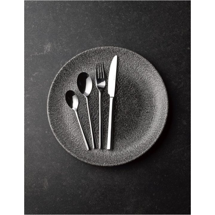 SOLA MONTREAUX CUTLERY WITH RAKU PLATE NON FOOD
