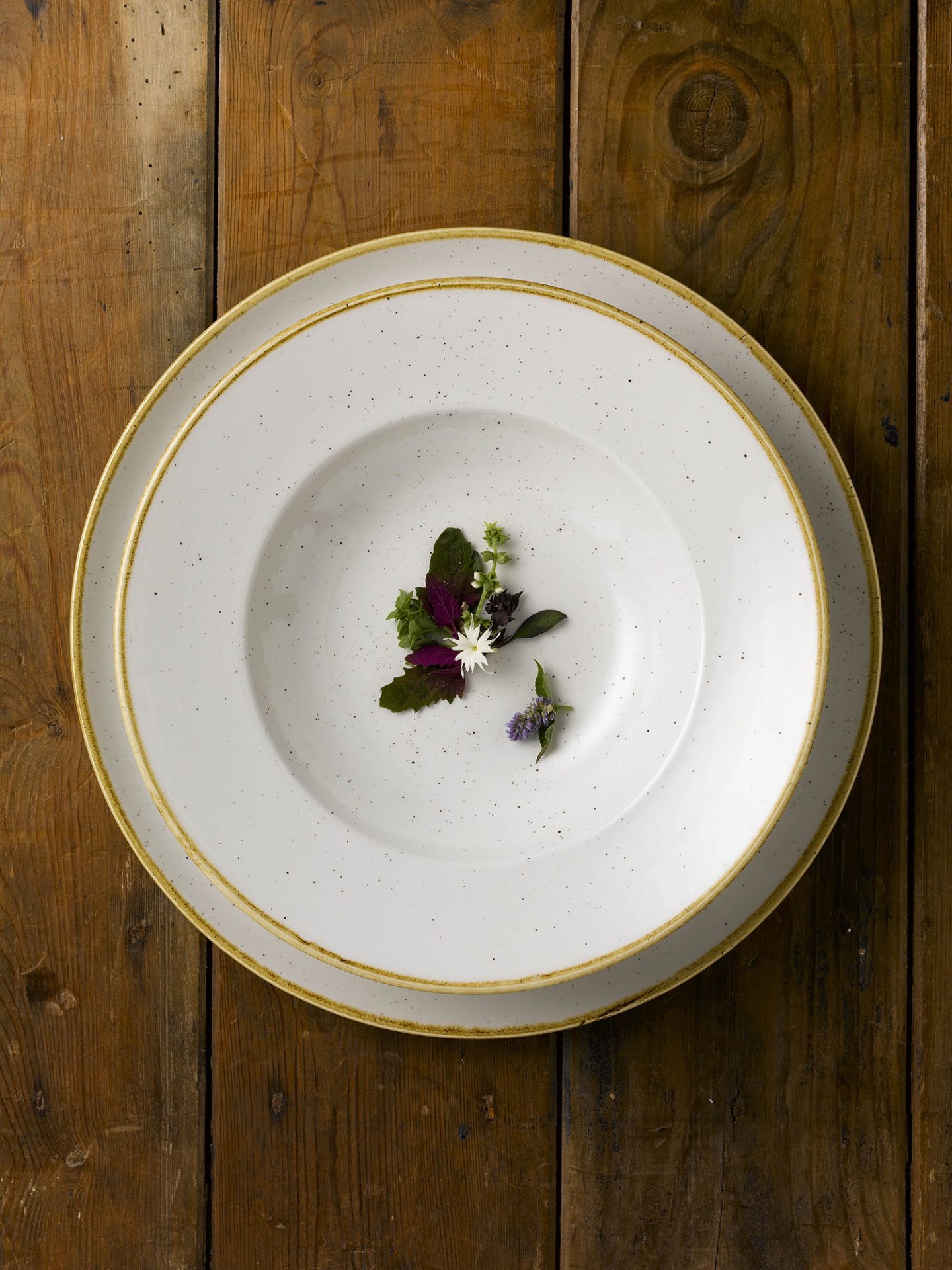 STONECAST WHITE NO FOOD 4 1