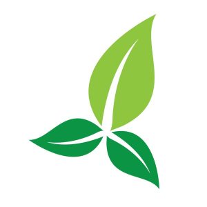 biodegradable compostable