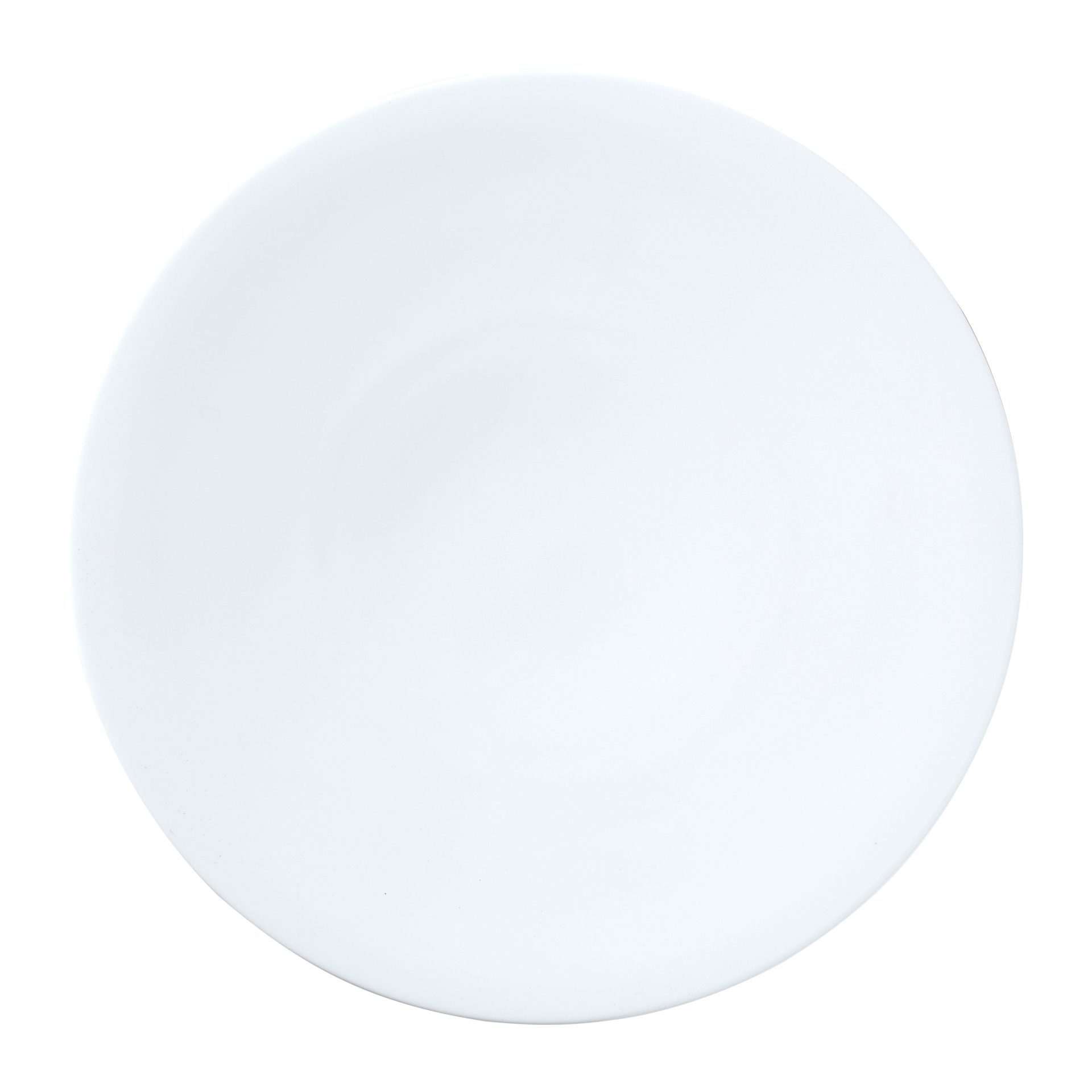 Snipe Plate 31cm (12 1/4")