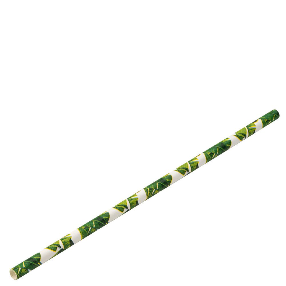 Paper Tropical Straw 8" (20cm) Box of 250