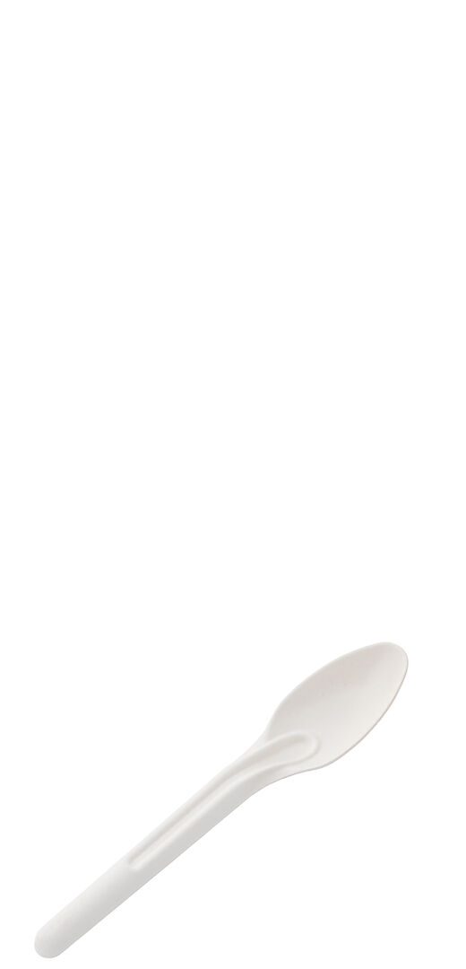 Natural Sugarcane Spoon 5.75" (14.5cm) -Box of 100