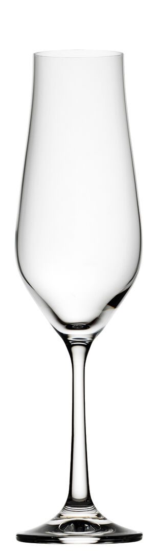 Tulipa Flute 7.75oz (22cl)