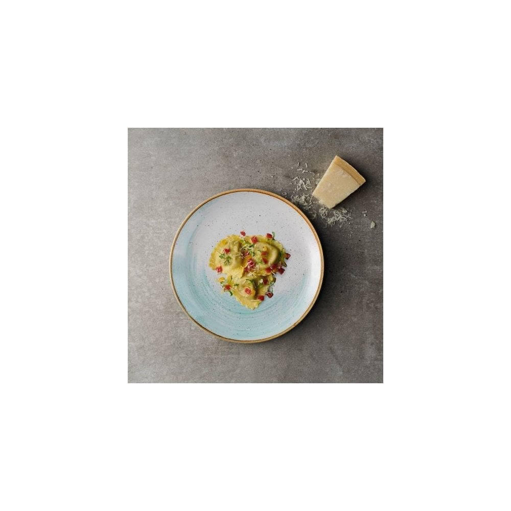 Stonecast Accents Duck Egg Evolve Coupe Plate 10.25" - Image 2