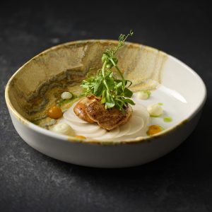 TIDE GOLD SCALLOPS