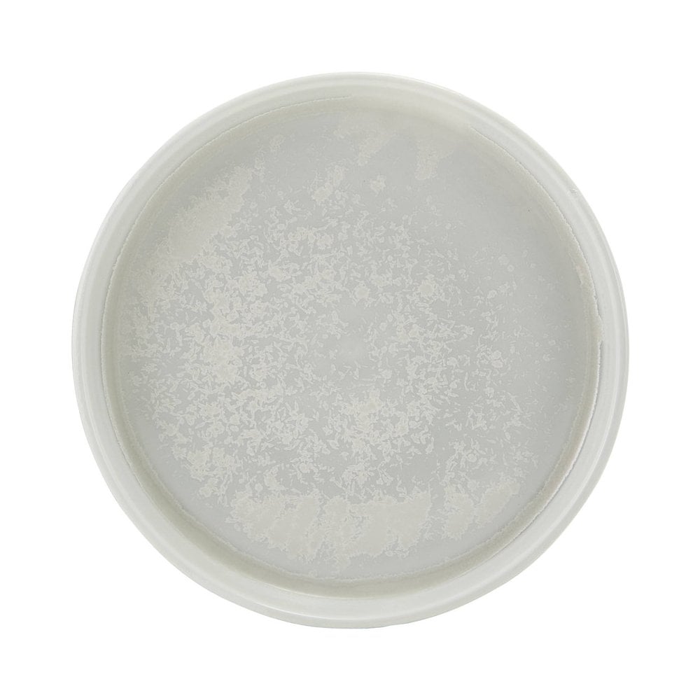 Incise Lucine Vitrified Porcelain Presentation Plate 18cm - Image 2