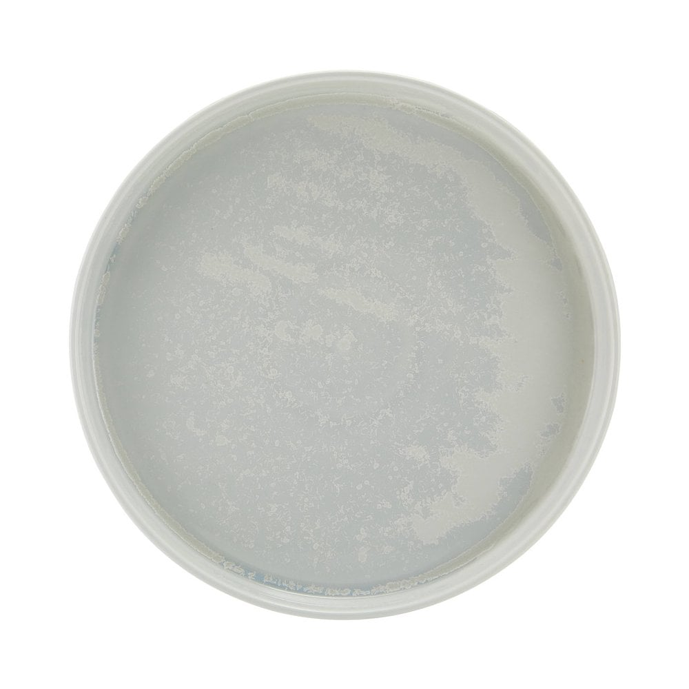 Incise Lucine Vitrified Porcelain Presentation Plate 25cm - Image 2