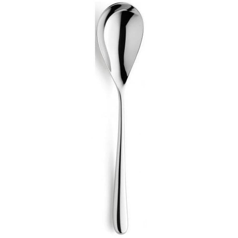 Newton Serving Spoon 18/10