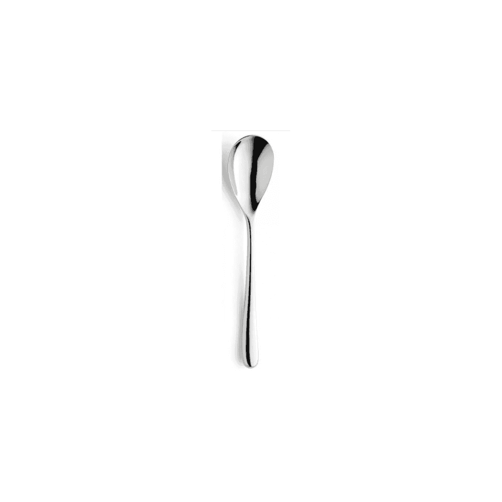 Newton Teaspoon 18/10