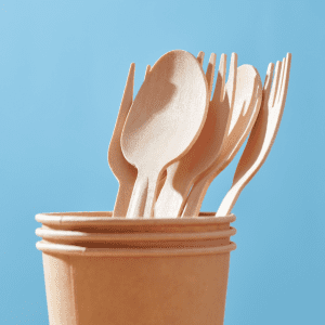 Disposable Cutlery