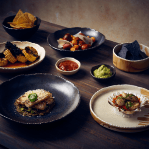 Roko Porcelain collection