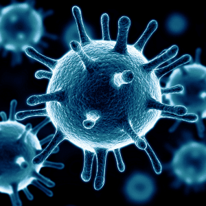 Germs Germs
