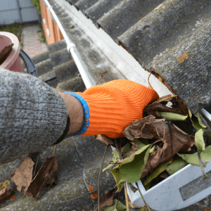 Gutter cleaning 