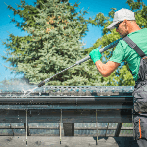 Gutter cleaning