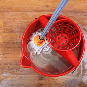 Mop and bucket