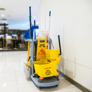 Cleaning cart