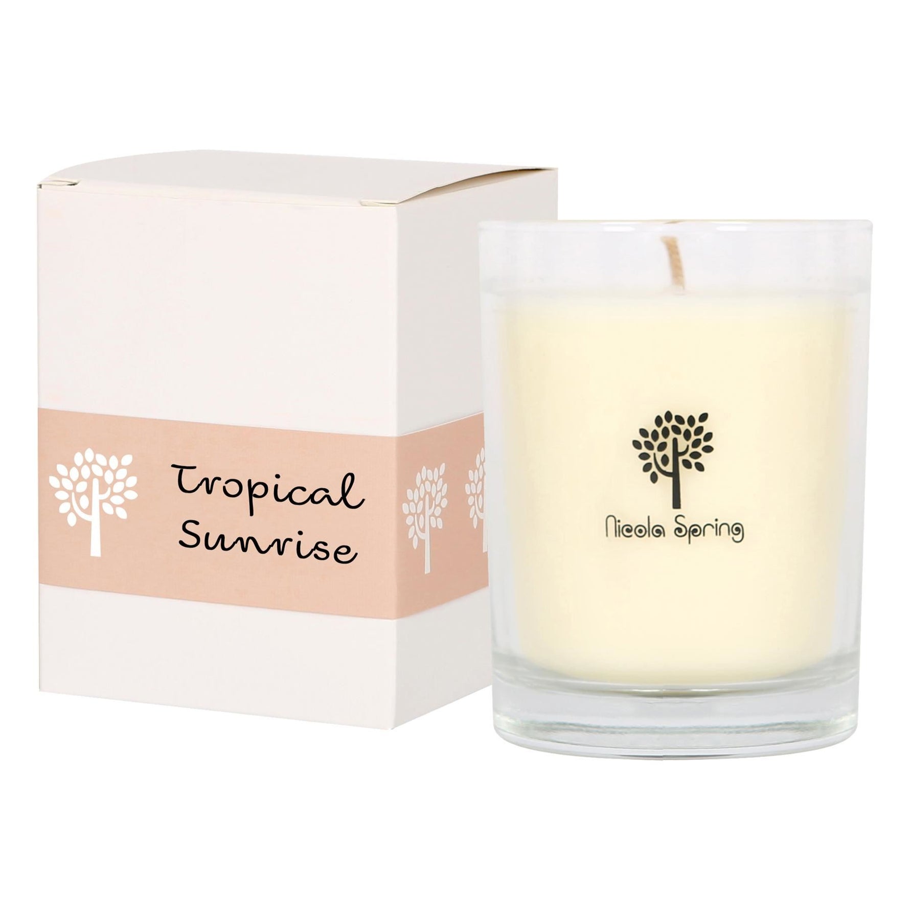 Tropical Retreat Soy Wax Scented Candle 160g